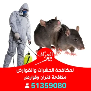 مكافحة فئران الكويت