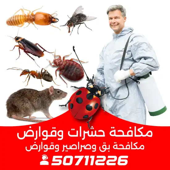 شركة-رش-حشرات-الكويت
