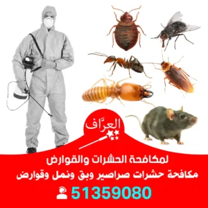 مكافحة حشرات الأحمدي