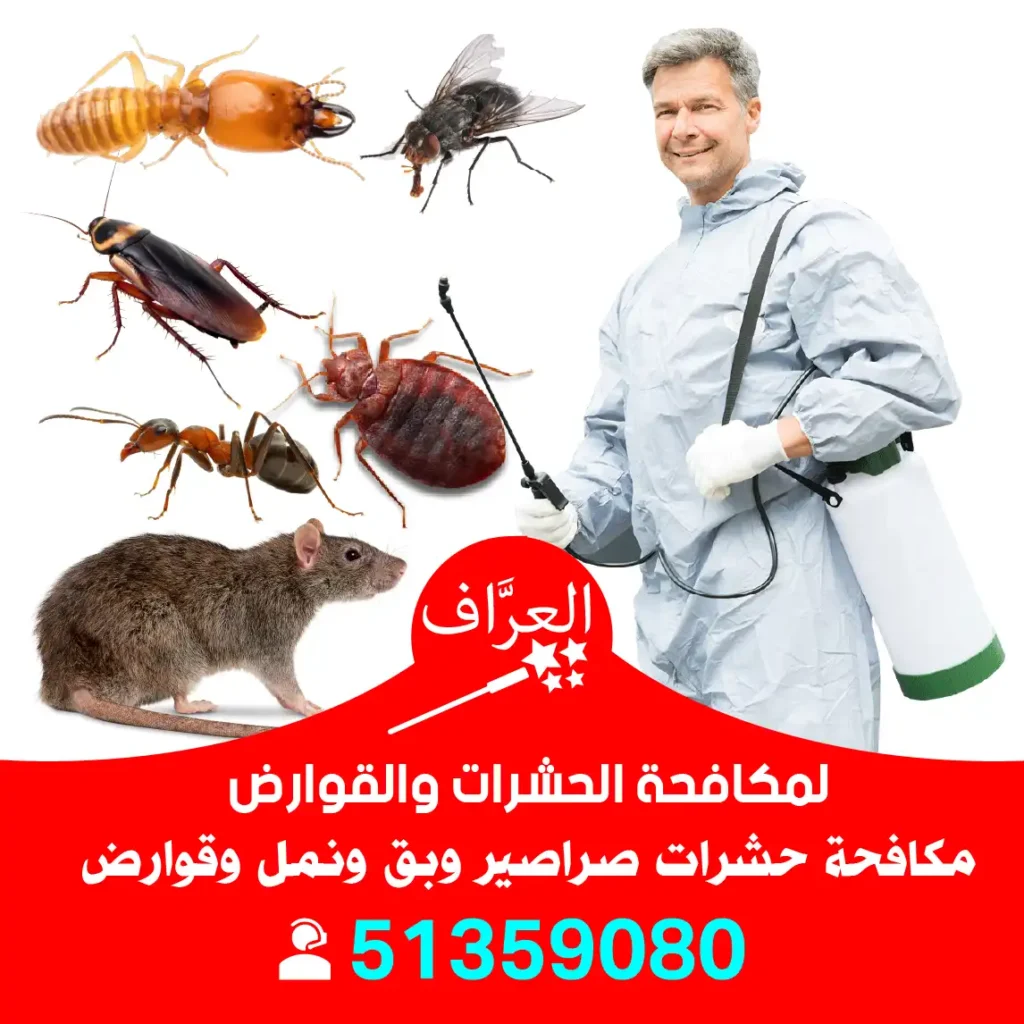 مكافحة حشرات الكويت