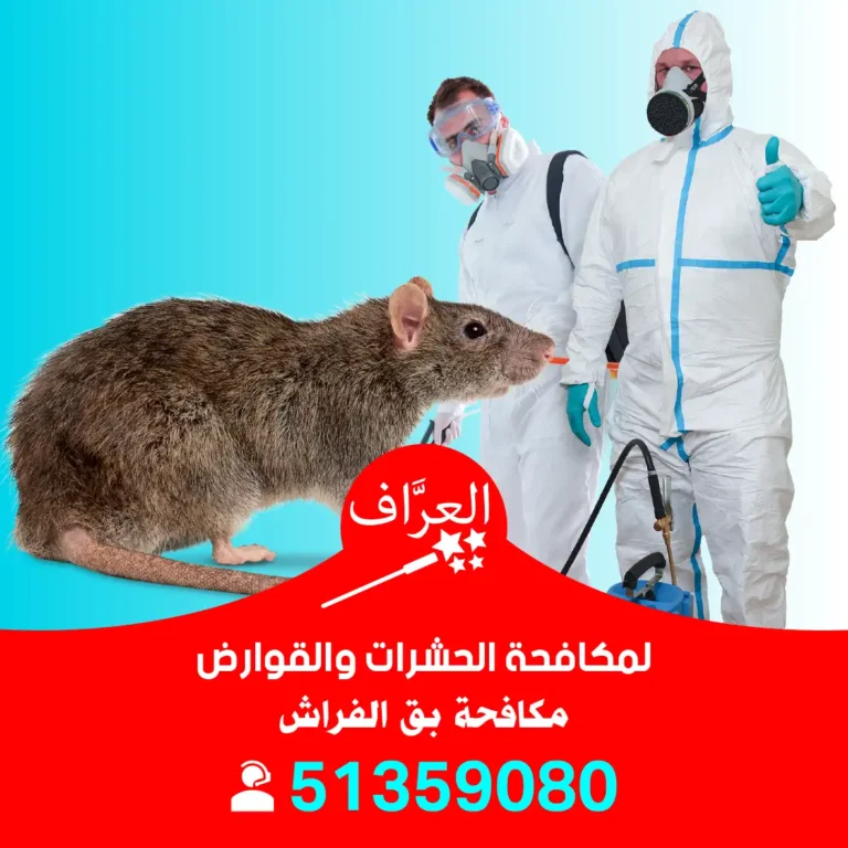 مكافحة قوارض حولي