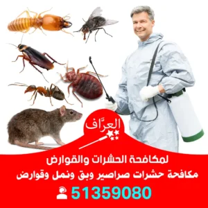 رش حشرات الجهراء