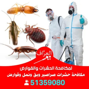 رش حشرات الجهراء