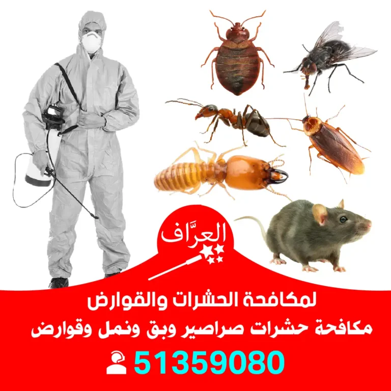 رش حشرات حولي