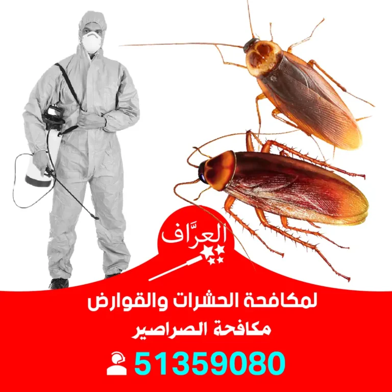 مكافحة صراصير الكويت