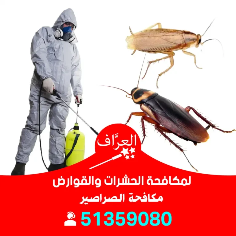 مكافحة صراصير العاصمة