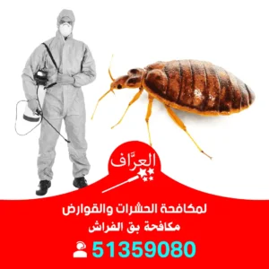 رش بق الكويت