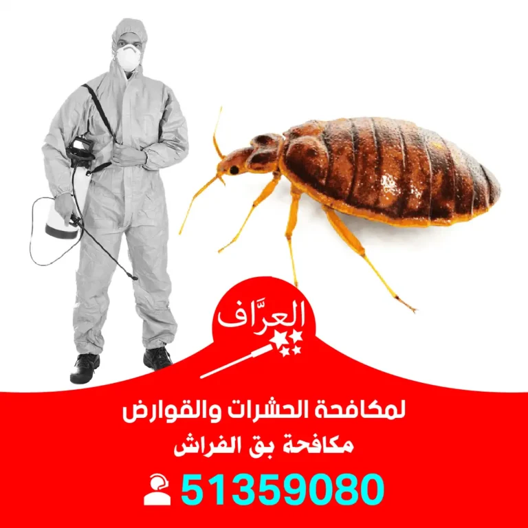 مكافحة بق مبارك الكبير