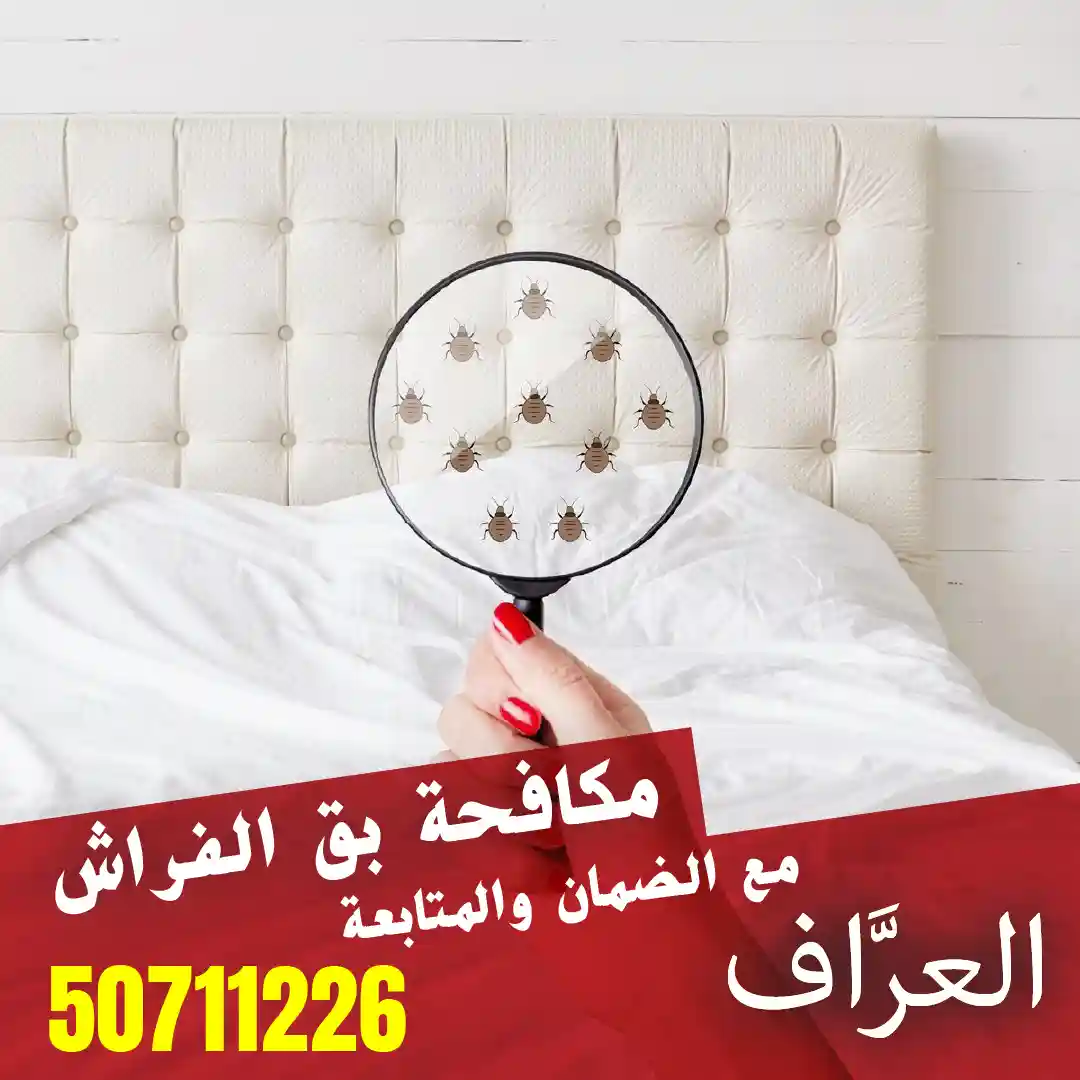 فحص دقيق للأثاث من فريق العراف لتقديم أفضل الحلول في مكافحة البق في الكويت - مكافحة بق الفراش في الكويت