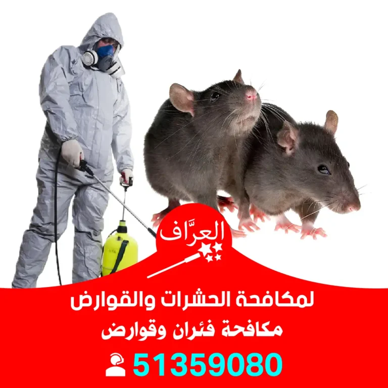 مكافحة فئران الأحمدي