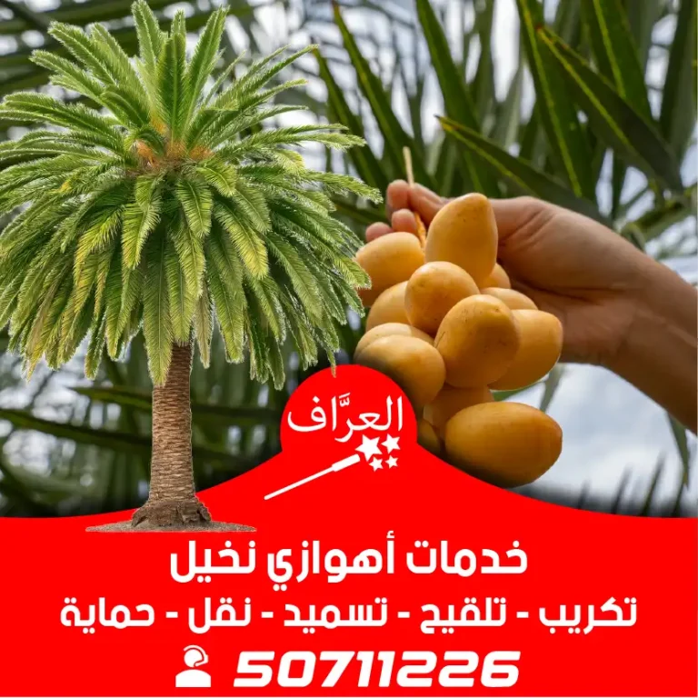 أهوازي-نخيل-تكريب-تقليم-تسميد-0١