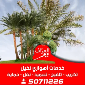 أهوازي-نخيل-تكريب-تقليم-تسميد-0١