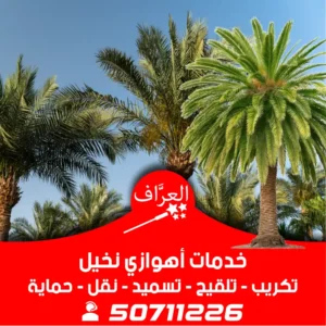 أهوازي-نخيل-تكريب-تقليم-تسميد-0١