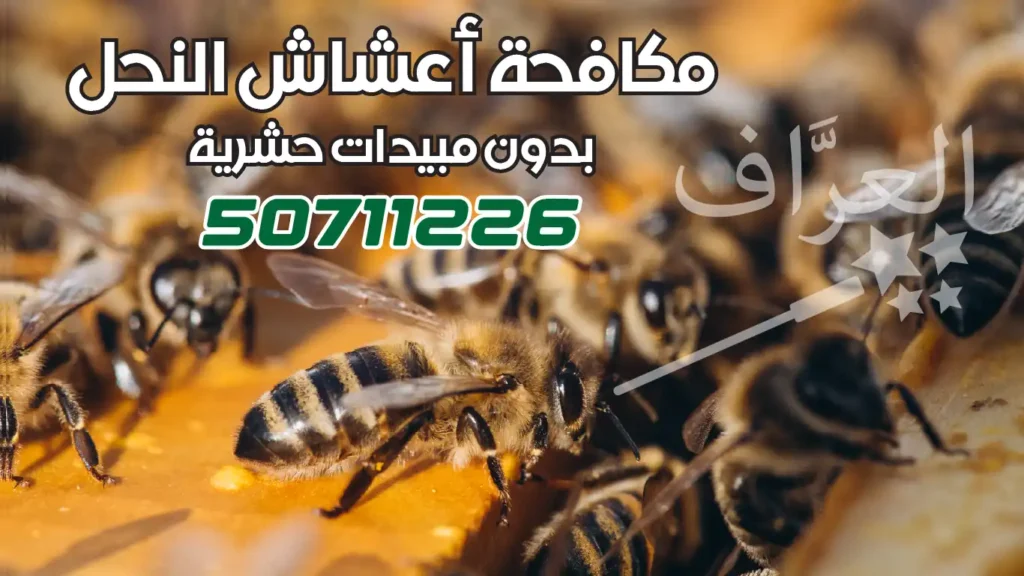 مكافحة-نحل-الكويت
