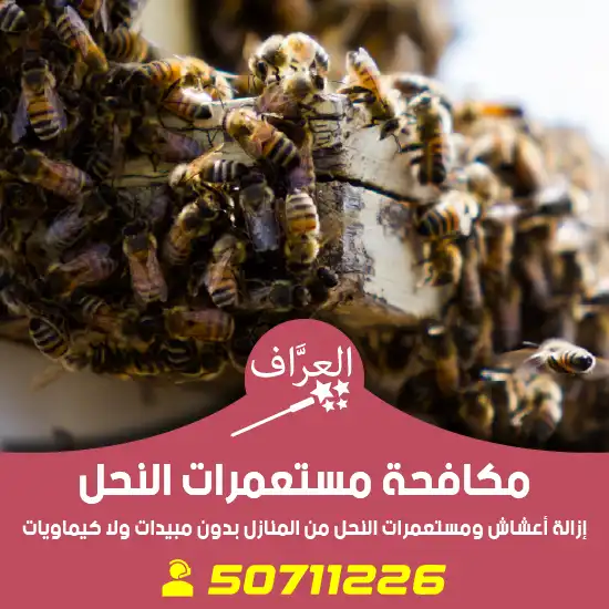مكافحة-نحل-الكويت