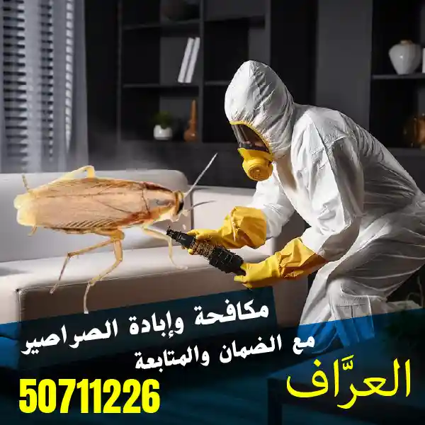 أسعار خدمات مكافحة الصراصير في الكويت 50711226